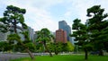 Tokyo / Japan - Sept 17 2018: Pine trees and skyscrapers. High rise buildings in Chiyoda. Chiyoda-ku is a special ward located in
