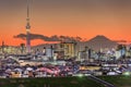 Tokyo, Japan skyline with Mt. Fuji and the Tower Royalty Free Stock Photo