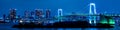 Tokyo, Japan skyline with Rainbow Bridge at night Royalty Free Stock Photo