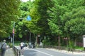 Japan, Tokyo, Ueno Park, green forest road