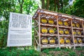 TOKYO, JAPAN: Wooden Barrels stacked of wine at Meiji Shrine in Shibuya, Tokyo