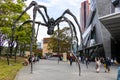 Tokyo, japn - April 28, 2019 : Tourist walk around maman spider that located at mori art museum, roppongi hill, Tokyo