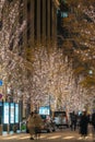 Tokyo Marunouchi winter illumination festival Royalty Free Stock Photo