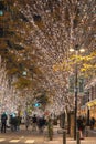 Tokyo Marunouchi winter illumination festival Royalty Free Stock Photo