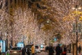 Tokyo Marunouchi winter illumination festival Royalty Free Stock Photo