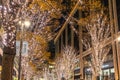 Tokyo Marunouchi winter illumination festival Royalty Free Stock Photo