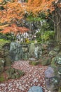 Tokyo Metropolitan Park KyuFurukawa japanese garden`s dry waterfall and fifteen stories pagoda overlooking by red maple momiji