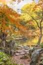 Tokyo Metropolitan Park KyuFurukawa japanese garden`s dry waterfall garden designed by Ogawa Jihei overlooking by red maple