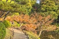 Tokyo Metropolitan Park KyuFurukawa japanese garden`s path overlooking by maples and pines trees in autumn