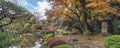 Tokyo Metropolitan Park KyuFurukawa japanese garden`s pine trees protected by a winter umbrella with maple momiji leaves backgroun