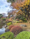 Tokyo Metropolitan Park KyuFurukawa japanese garden`s Shinji pond overlooking by red maple momiji leaves in autumn