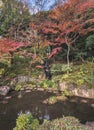 Tokyo Metropolitan Park KyuFurukawa japanese garden`s waterfall overlooking by red maple momiji leaves in autumn