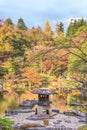 Tokyo Metropolitan Park KyuFurukawa japanese garden`s Yukimi stone lantern overlooking by red maple momiji leaves in autumn