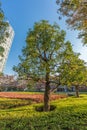 Autumn colors, Fall foliage around Park and Garden near National Art Center. Located in Roppongi, Minato Ward, Tokyo, Japan Royalty Free Stock Photo