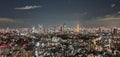 Tokyo at the night lancscape Royalty Free Stock Photo