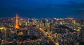Tokyo night scene, panoramic view Royalty Free Stock Photo