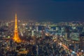 Tokyo night scene, panoramic view Royalty Free Stock Photo