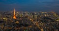 Tokyo night scene, panoramic view Royalty Free Stock Photo