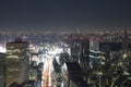 Tokyo night scene, panoramic view Royalty Free Stock Photo