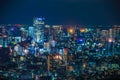 Tokyo night view seen from the observation deck of the Tokyo Metropolitan Government Building Royalty Free Stock Photo