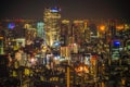 Tokyo night view seen from the observation deck of the Tokyo Metropolitan Government Building Royalty Free Stock Photo