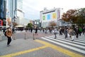 TOKYO - NOVEMBER 28: Crowds of people crossing the center of Shibuya