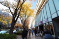 TOKYO - NOVEMBER 24: People shopping around Omotesando Hills