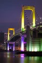 Tokyo Rainbow bridge vertical Royalty Free Stock Photo