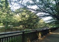 Tokyo, Setagaya City, Soshigaya Park, Senkawa Rive
