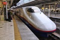 Tokyo Shinkansen Royalty Free Stock Photo