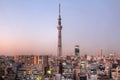 Tokyo Sky Tree, Japan Royalty Free Stock Photo