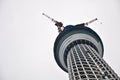 Tokyo Sky Tree Tower during underconstruction