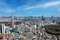 Tokyo skyline, aerial view from Shinjuku Japan