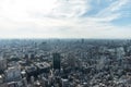 Tokyo skyline endless skyscraper from tower