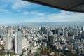 Tokyo skyline endless skyscraper from tower