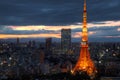 Tokyo skyline, Japan Royalty Free Stock Photo