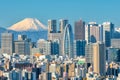 Tokyo skyline and Mountain fuji