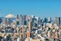 Tokyo skyline and Mountain fuji