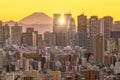 Tokyo skyline and Mountain fuji