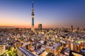 Tokyo Skyline with Skytree