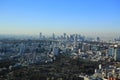 Tokyo skyline in urban skyline, mount fuji as the background Royalty Free Stock Photo