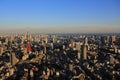 Tokyo skyline in urban skyline, mount fuji as the background Royalty Free Stock Photo