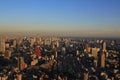 Tokyo skyline in urban skyline, mount fuji as the background Royalty Free Stock Photo