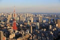 Tokyo skyline in urban skyline, mount fuji as the background Royalty Free Stock Photo