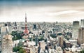 Tokyo skyscrapers and Tokyo Tower aerial view Royalty Free Stock Photo