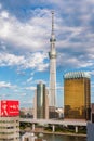 Tokyo Skytree and Asahi Building in Tokyo