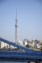 Tokyo Skytree with bridge