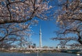 Tokyo Skytree Royalty Free Stock Photo