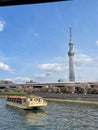 Tokyo Skytree during cherry blossom season