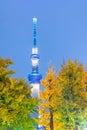 The Tokyo Skytree in Japan